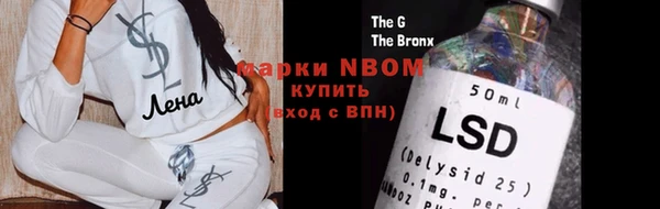 индика Магас