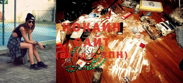 индика Магас